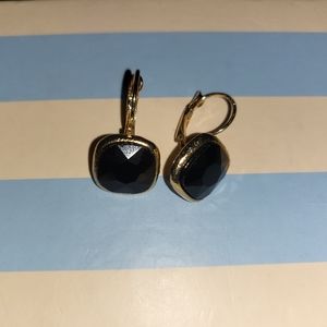 Classy black earrings with jewel